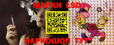 прущие грибы Шахты